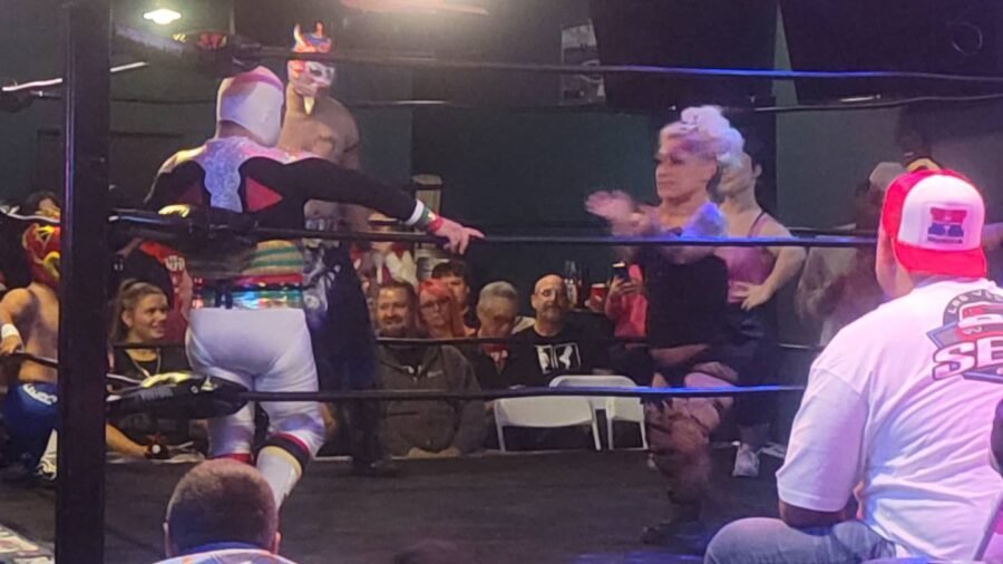 The crowd around the ring on a wrestling night